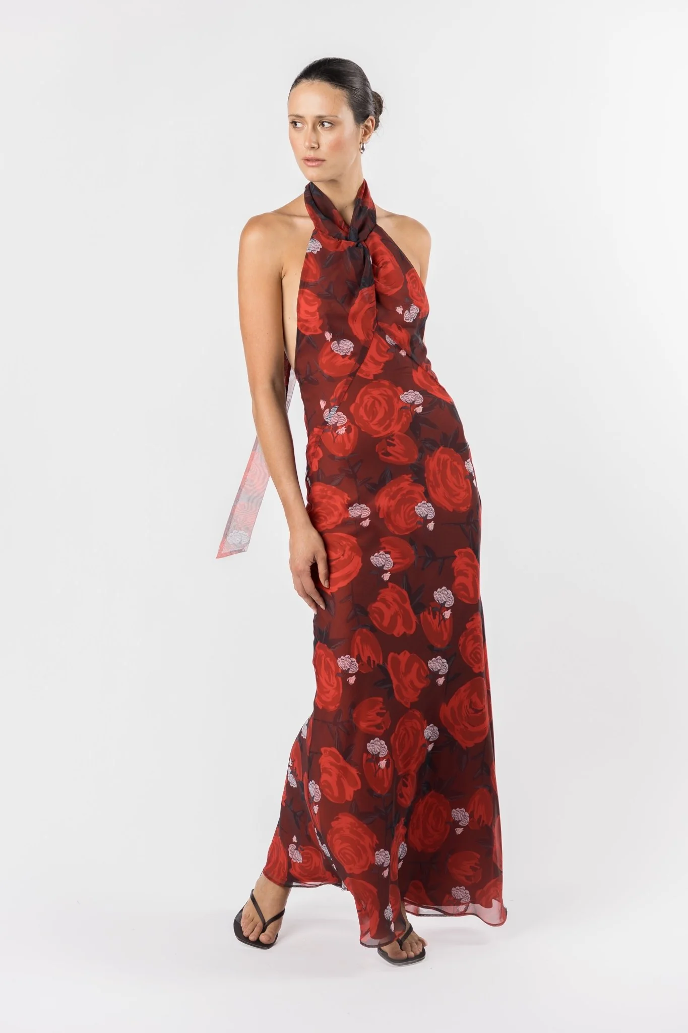 CONSTELLATION DRESS - BRIAR ROSE - Image 8
