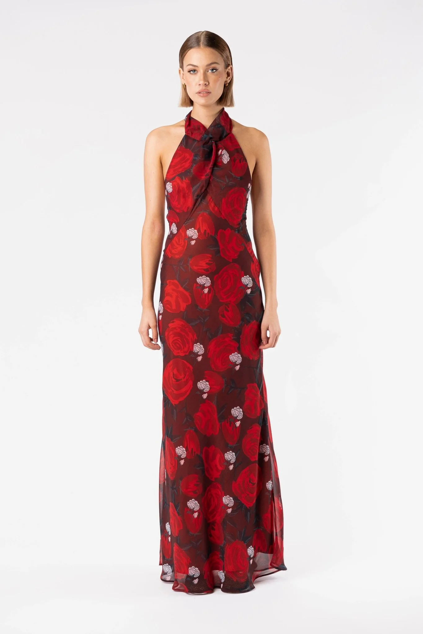 CONSTELLATION DRESS - BRIAR ROSE - Image 9